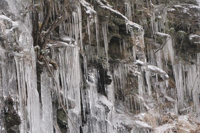 Icicles killed over 100 year a year in Russia