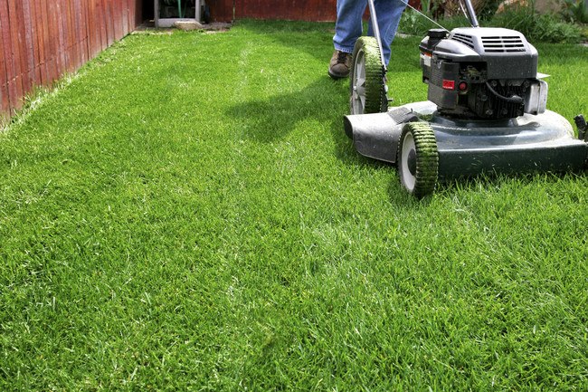 75 people die from lawnmower related accident every year