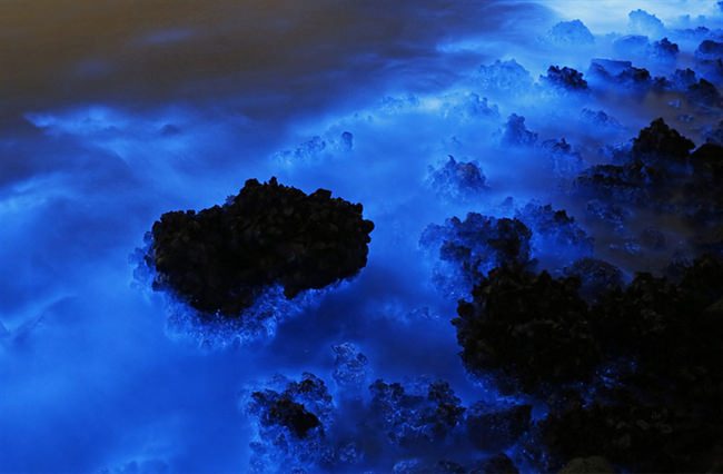 Bioluminescent Plankton Glow In Bloom On The Shores Of Hong Kong (4/4)