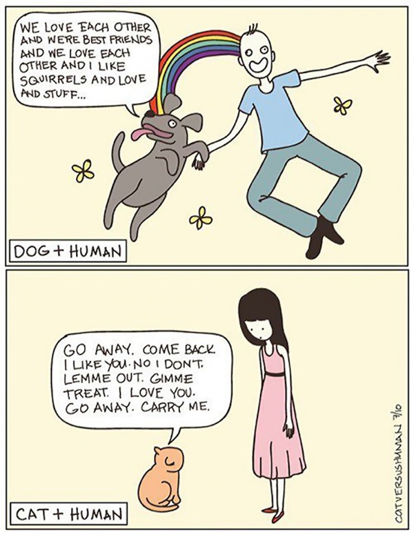 the difference between cat and dog