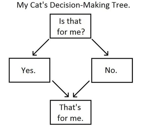 Cat decision making tree
