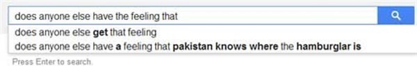 Does anyone else have a feeling that pakistans knows where the hamburglar is