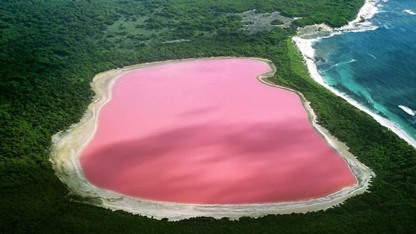 Pink Lake Hillier in Australia