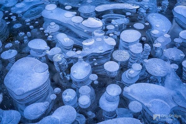 Frozen Air Bubbles in Abraham Lake