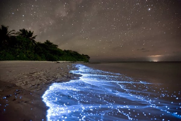 Shimmering Shores of Vaadhoo Maldives