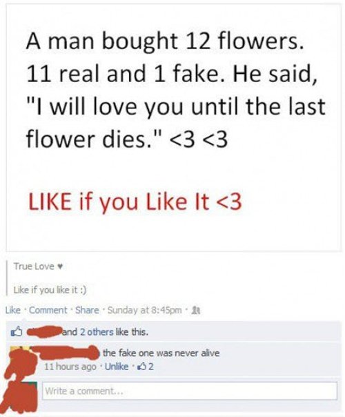 Fake flower was never alive