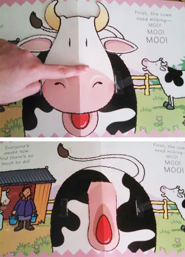 Learn the cow parts