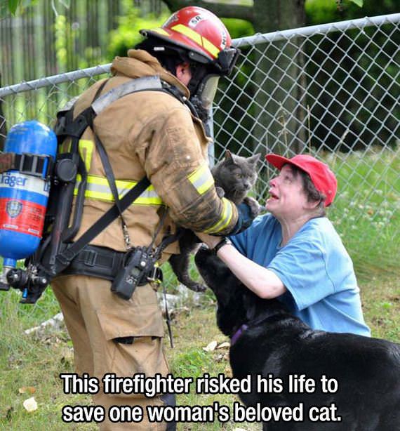 faith-in-humanity-restored-090215-11
