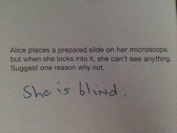 funny-student-answer-091815-11