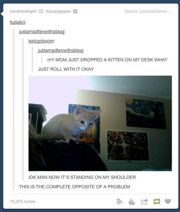 how-to-be-cat-tumblr-100215-17