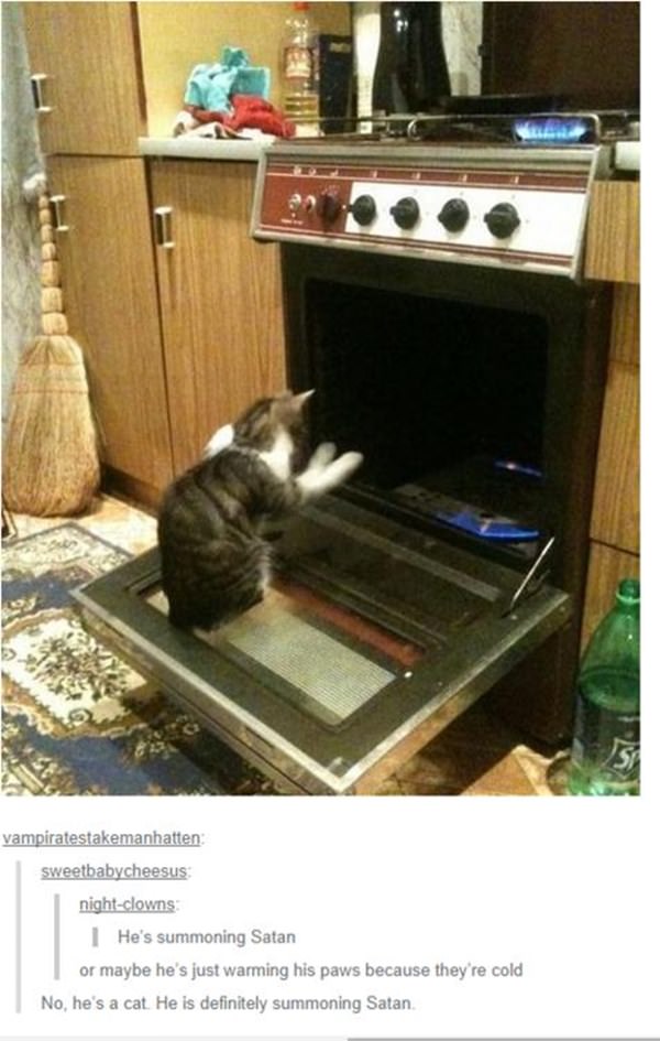 how-to-be-cat-tumblr-100215-5