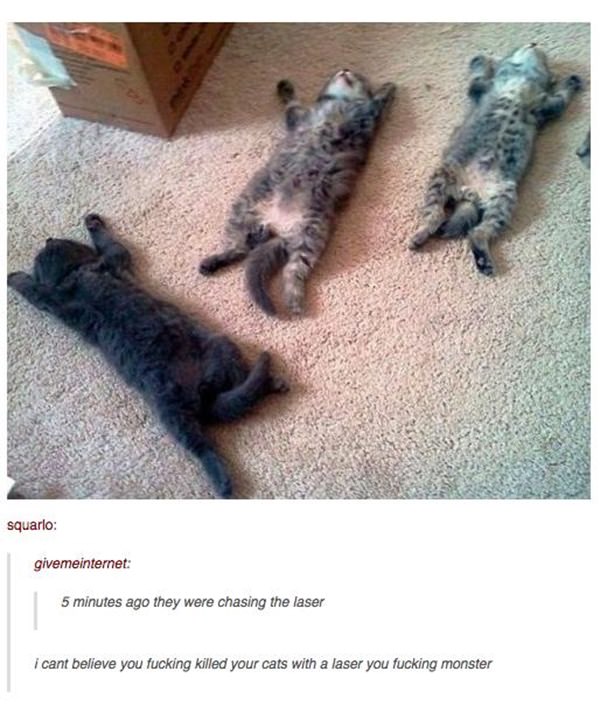 how-to-be-cat-tumblr-100215-9