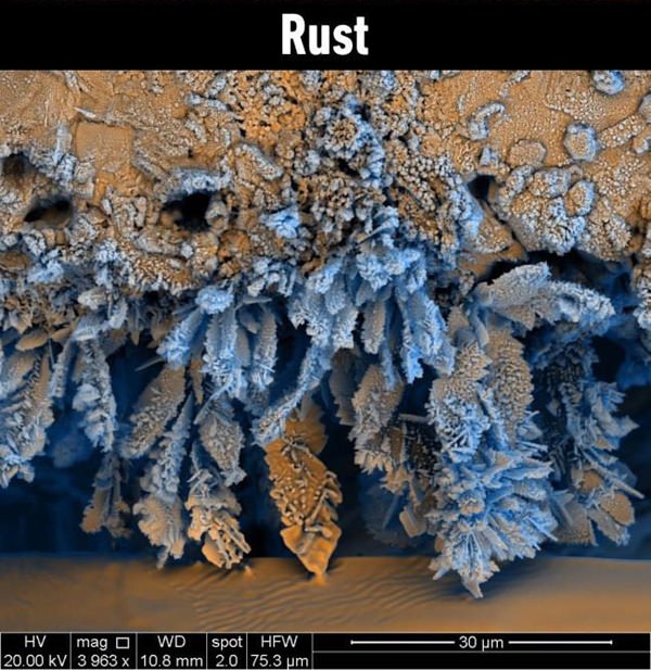 It Is Amazing How These 25 Everyday Things Look Under Microscope