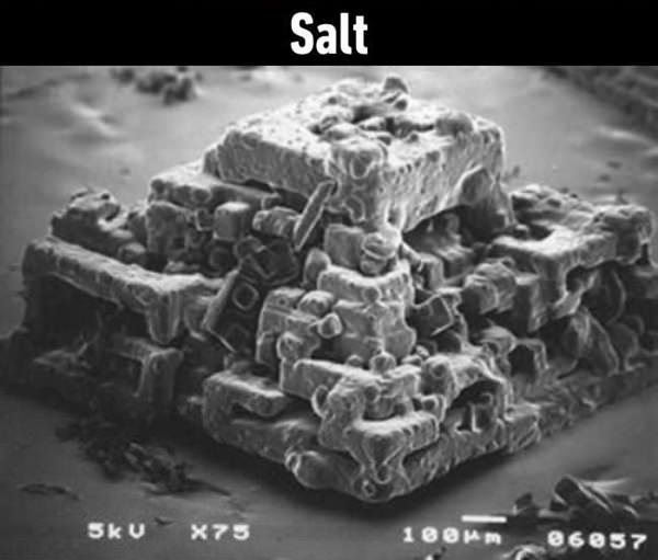 things-under-microscope-122015-6