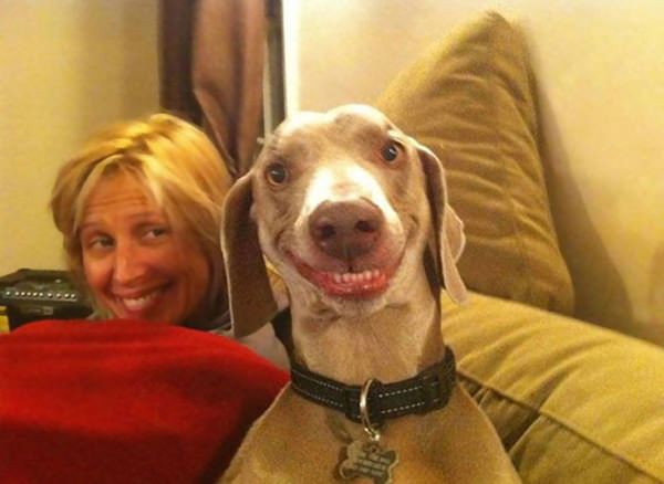 happiest-dogs-who-show-the-best-smiles-20150902-3