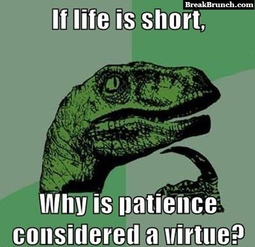 If life is short, why is patience considered a virtue