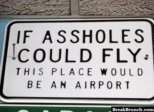 If assholes can fly