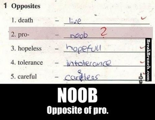 Noob is the opposite of pro