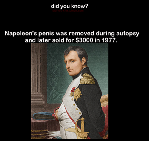 napoleon-penis-was-removed-funny-did-you-know-picture