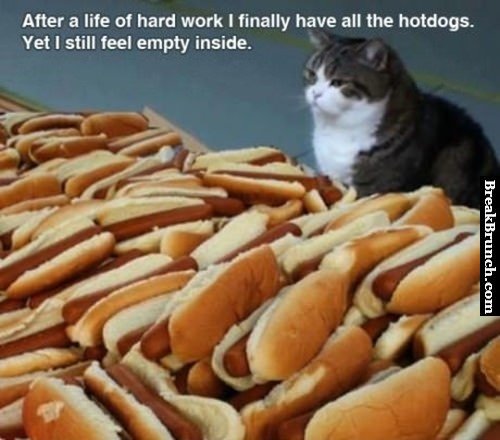 they-cant-fill-in-the-void-funny-cat-picture