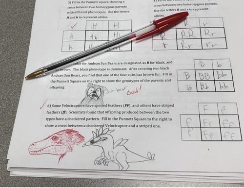 doodle-on-exam-funny-picture-060918