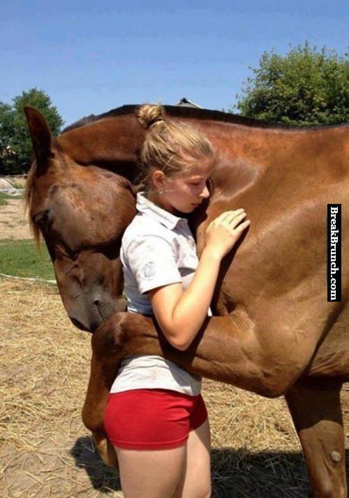 horse-hug-the-girl-lol-animal