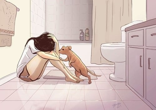 How life is like living with a dog (25 photos)
