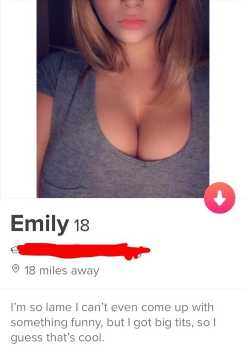 51 Dirty and Funny Tinder Dating Bios to Get More Messages (Examples for Women)