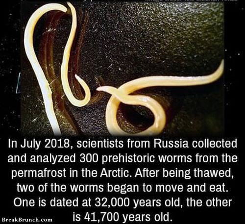 prehistoric-worms-0915181035