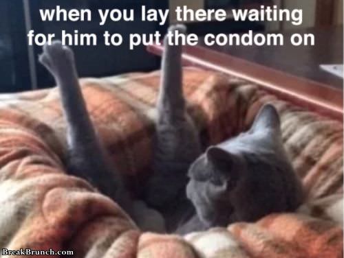 waiting-for-him-to-put-condom-on-0916180223