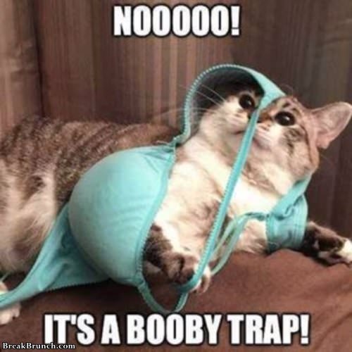booty-trap-1128190842