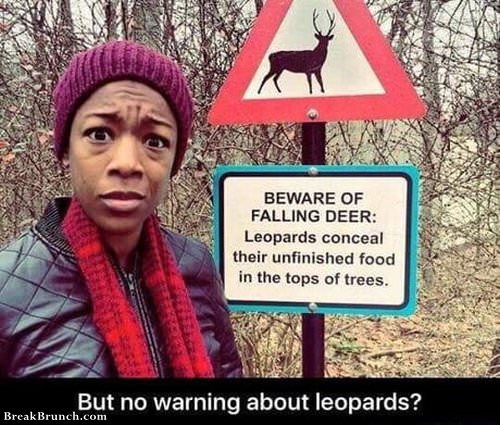 but-no-warning-of-leopards-1102190336