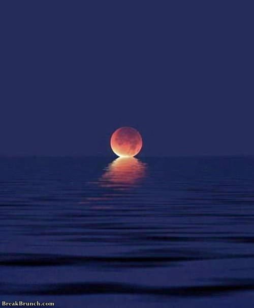 moon-kisses-ocean-1012191044