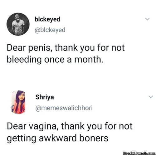 penis-vs-vagina-0103190506
