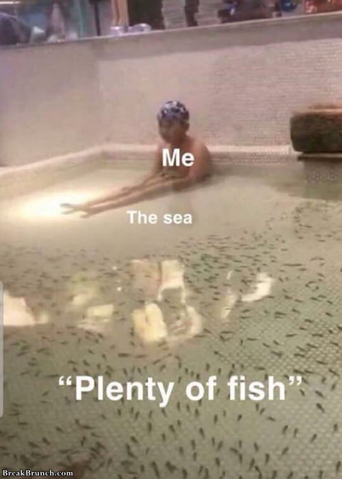Plenty of fish in the sea