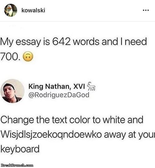 How to write 700 words essay