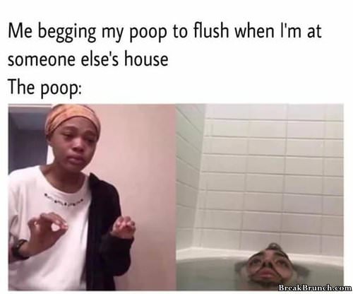 when-trying-to-flush-poop-031519