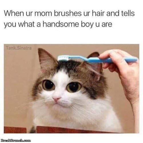 when-your-mom-brushed-your-hair-030119