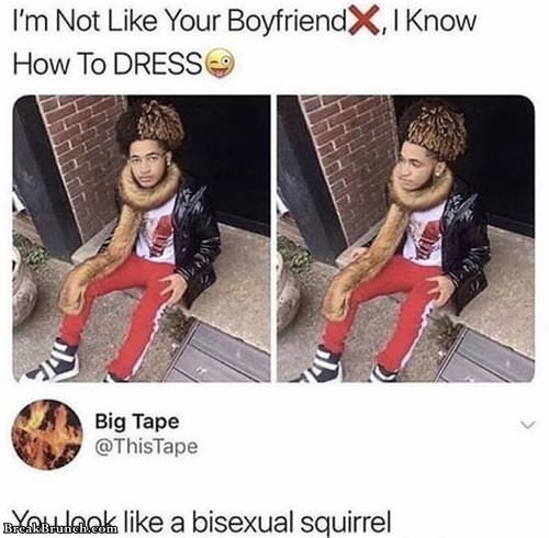 bisexual-squirrel-071219