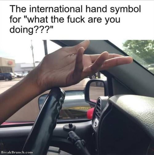 hand-symbol-for-wtf-you-doing-062919