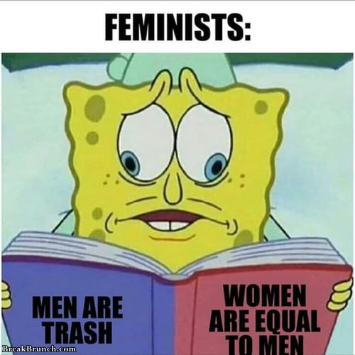 feminist-logic-071418
