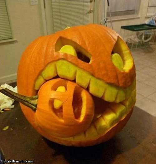 my-favoriate-pumpkin-funny-picture