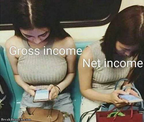Gross income vs net income