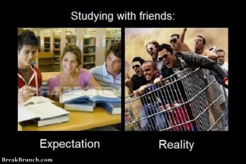 studying-with-friends-funny-picture