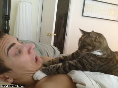 why-do-you-cheat-on-me-with-that-pussy-funny-lol-picture