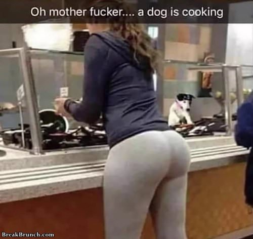 dog-cooking-091819