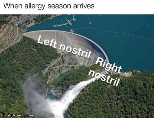 during-allergy-season-091219