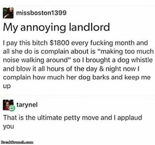 How to deal with annoying landlord