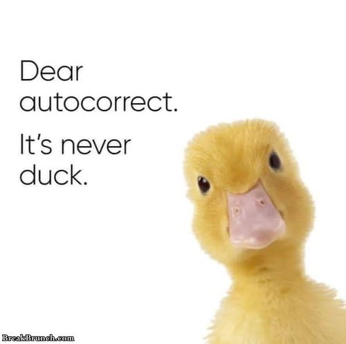 its-never-duck-101319