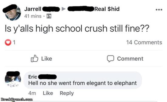 Elegant to elephant